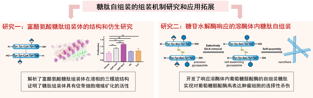 c5588b030a8149e58c2c81de19c63347.png