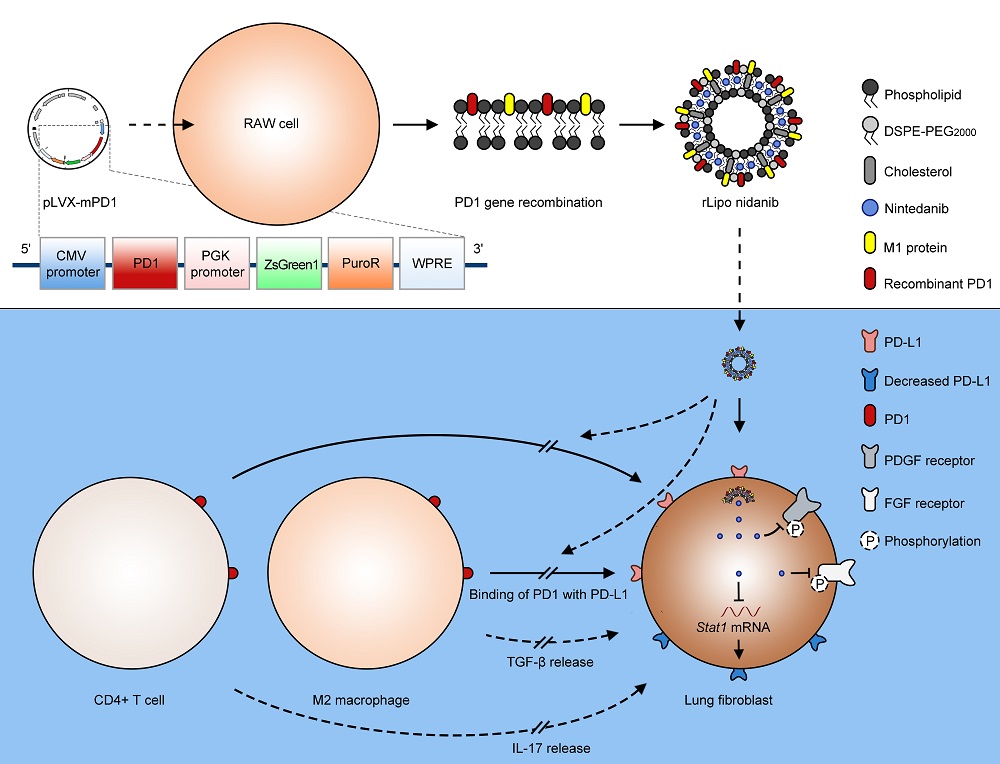 c57b1f63551d471ca9dd8aed1d3c42da.jpg c57b1f63551d471ca9dd8aed1d3c42da.jpg