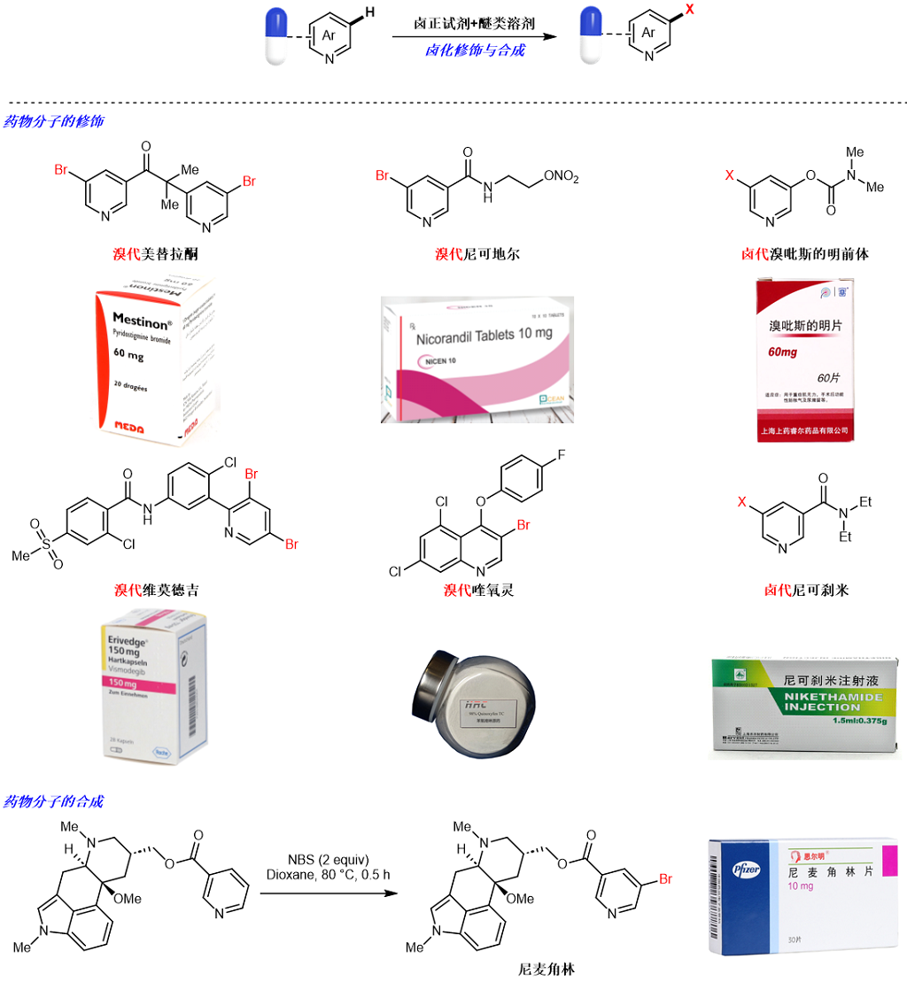 ae935ce133c44106b8360dcc4e43e283.png ae935ce133c44106b8360dcc4e43e283.png