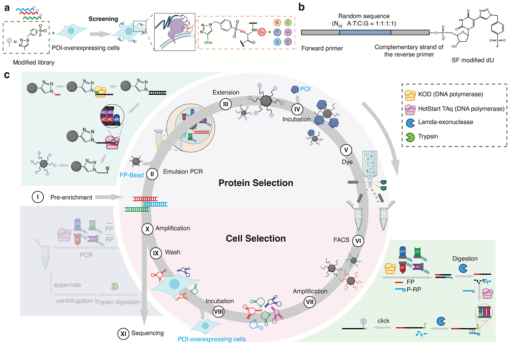 09dd2916ea6645a7ad842351adac0075.png 09dd2916ea6645a7ad842351adac0075.png
