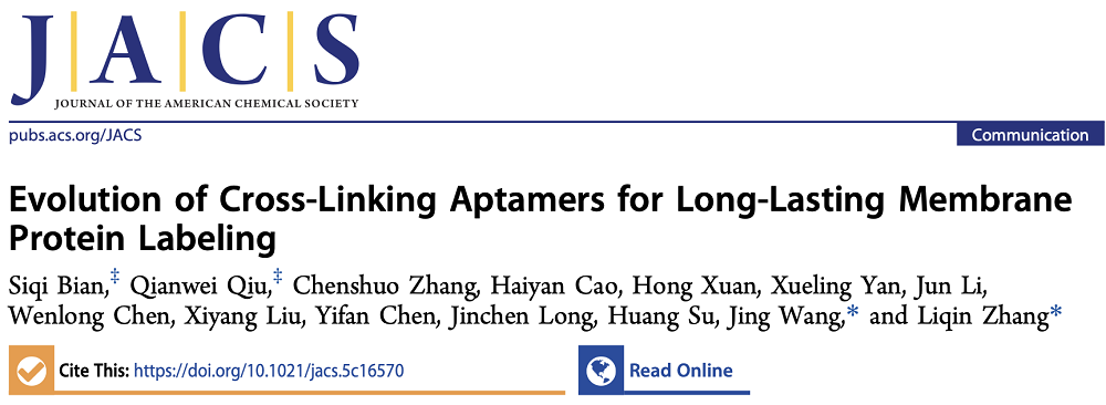 45e6e3b4a1b541d8994ef2cfbc4efc0b.png 45e6e3b4a1b541d8994ef2cfbc4efc0b.png