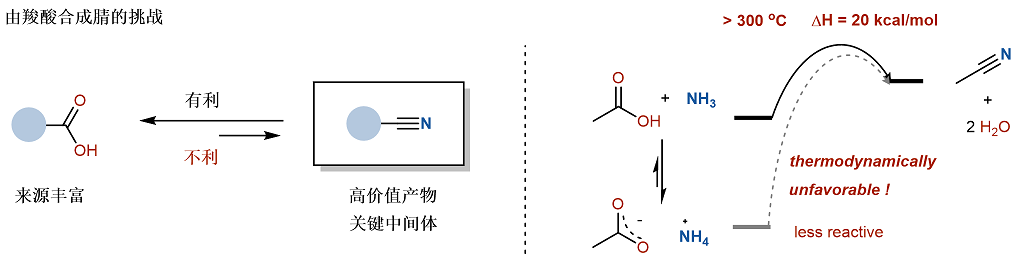 a8a6d76de16b40a98841e1e7f55e7d86.png a8a6d76de16b40a98841e1e7f55e7d86.png