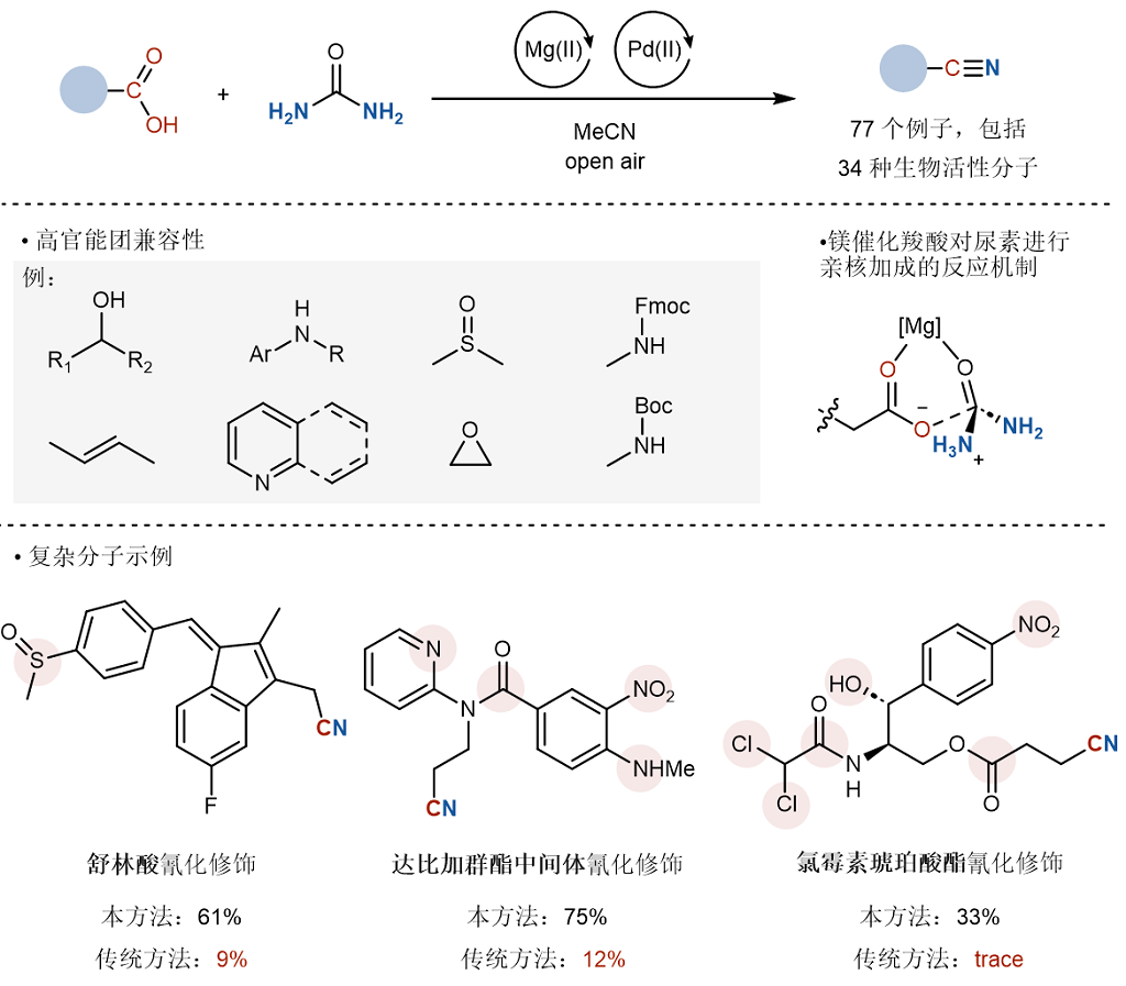 af28b2351ba14d9cb9205e0f38860f73.png af28b2351ba14d9cb9205e0f38860f73.png