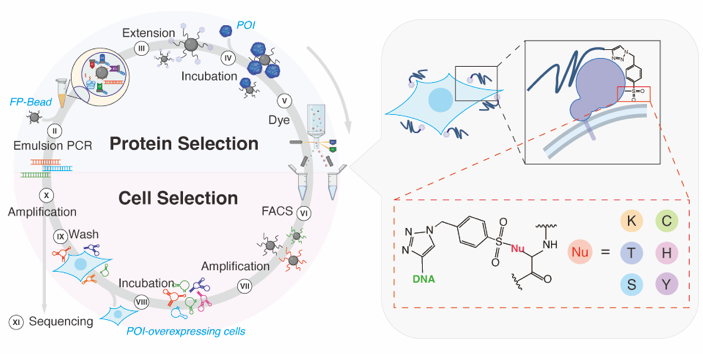 b76411678c7c4ed0b039cc697dab864f.png b76411678c7c4ed0b039cc697dab864f.png