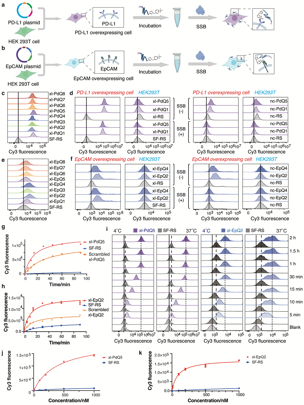 e90c50631aa94215830f925eb96eb146.png e90c50631aa94215830f925eb96eb146.png