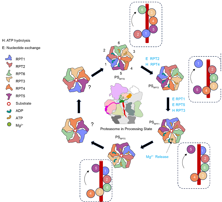 0ee2a77292b747b895e090a5c78dcdc7.png 0ee2a77292b747b895e090a5c78dcdc7.png