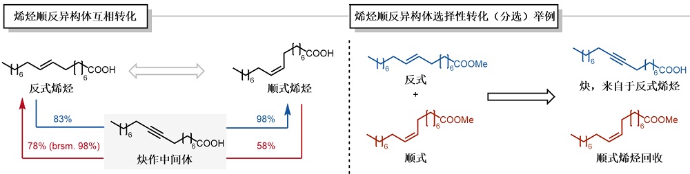 19cec3aa423d4a45938f1b932346aed5.jpg 19cec3aa423d4a45938f1b932346aed5.jpg
