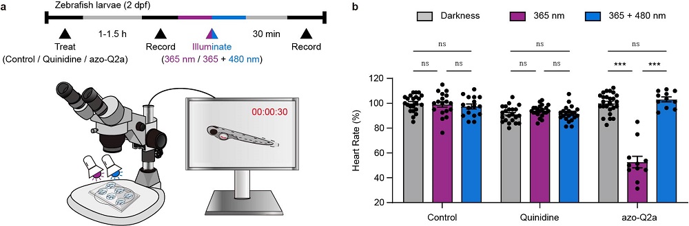 4c48b9c87b8643578f5162fff71dfaa6.jpg 4c48b9c87b8643578f5162fff71dfaa6.jpg