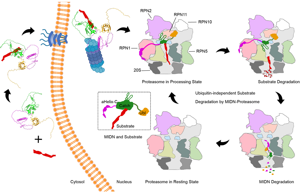 5b20b8681eb3494790811fb688d6a0e6.png 5b20b8681eb3494790811fb688d6a0e6.png