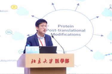 6537f4c2db804a2e96acd2b0fb2e0c91.jpg 6537f4c2db804a2e96acd2b0fb2e0c91.jpg