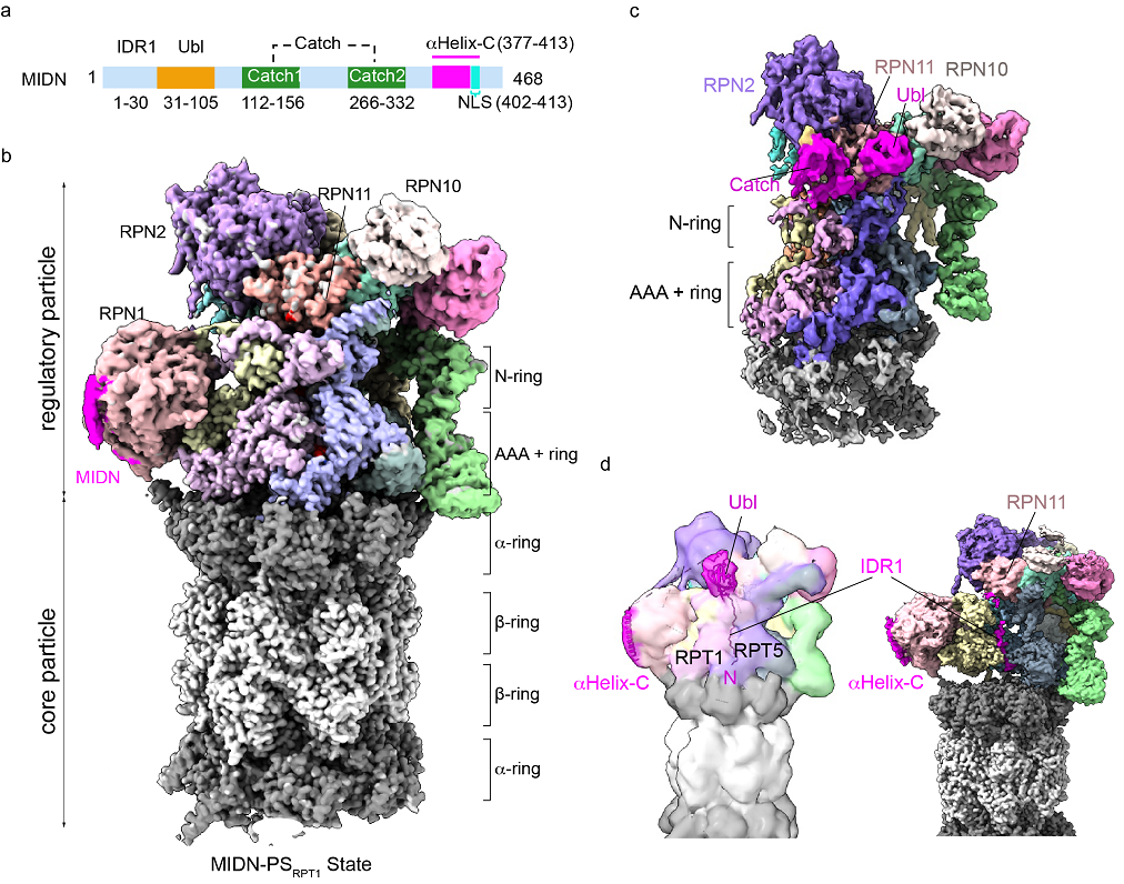 ce43215d05cb4c08adb3bb46a14edf8d.png ce43215d05cb4c08adb3bb46a14edf8d.png