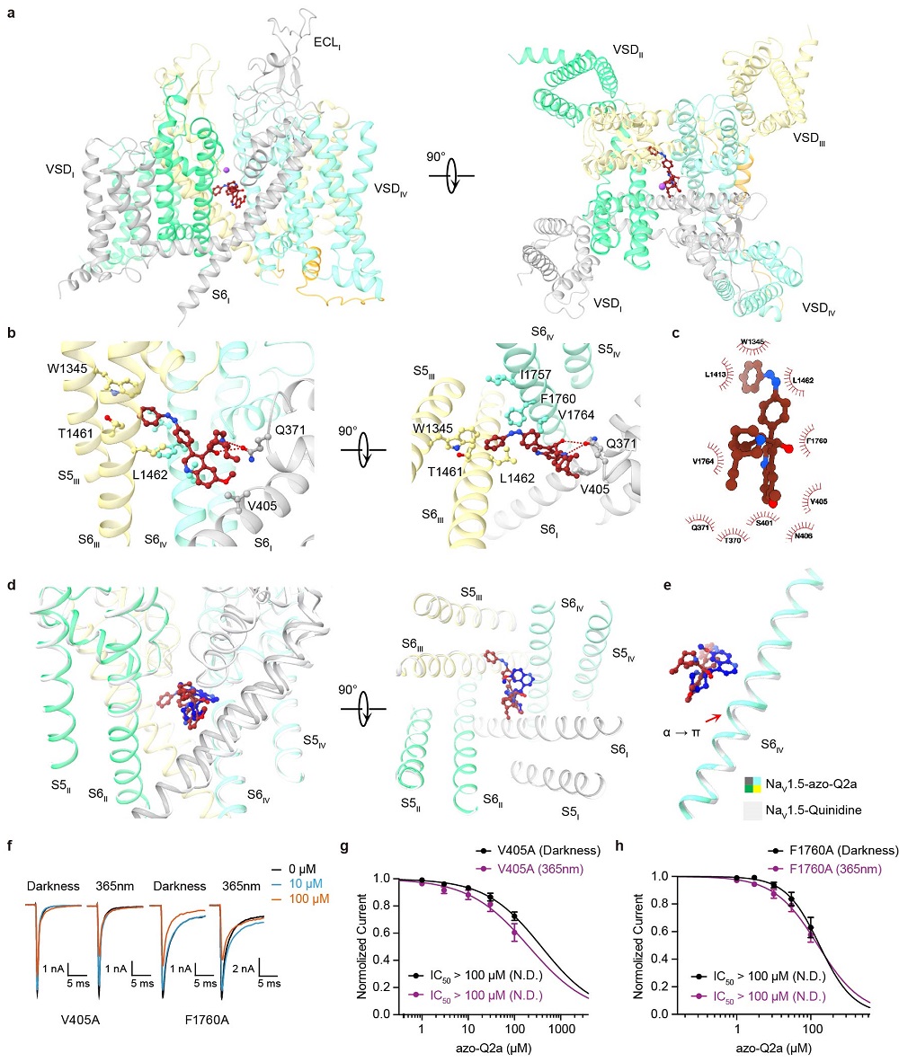 d1c86a91fda7408f9b2edb2a4f272447.jpg d1c86a91fda7408f9b2edb2a4f272447.jpg