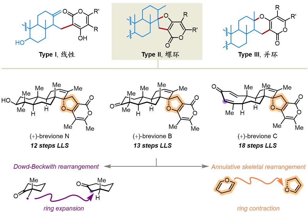f79722b6654443208a114b9ffc086301.jpg f79722b6654443208a114b9ffc086301.jpg
