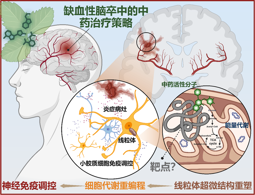 c78659c81f62491a8d43862eb107fa20.png