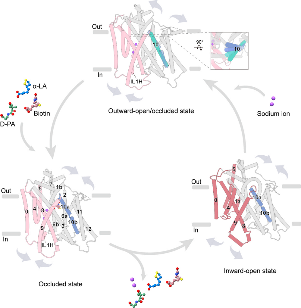 662e136aa6ae4b8db91671044614c3b6.png 662e136aa6ae4b8db91671044614c3b6.png